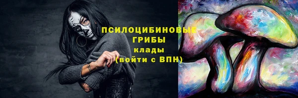 прущая мука Новодвинск
