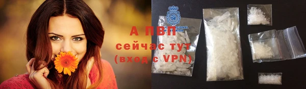 амф Новокубанск