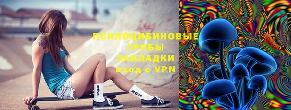 прущая мука Новодвинск