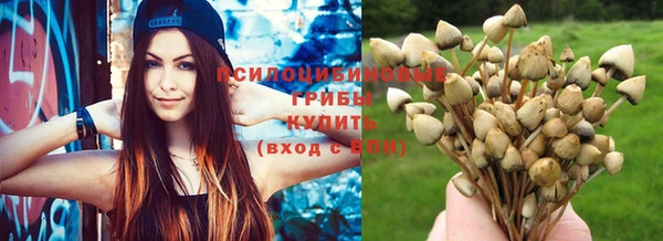 крисы Нея
